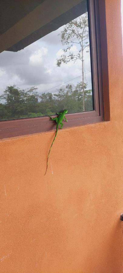 Green Leaf House La Fortuna Zewnętrze zdjęcie